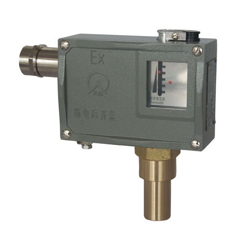 505/7Dtaptap官方帐号